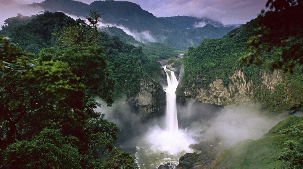Ecuador's Yasuni National Park