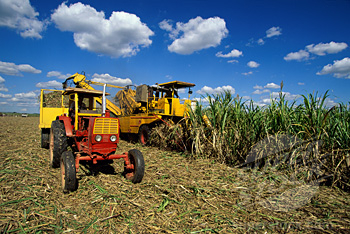 In experiment, Cuba liberalizes sale of farming equipment – Progreso Weekly