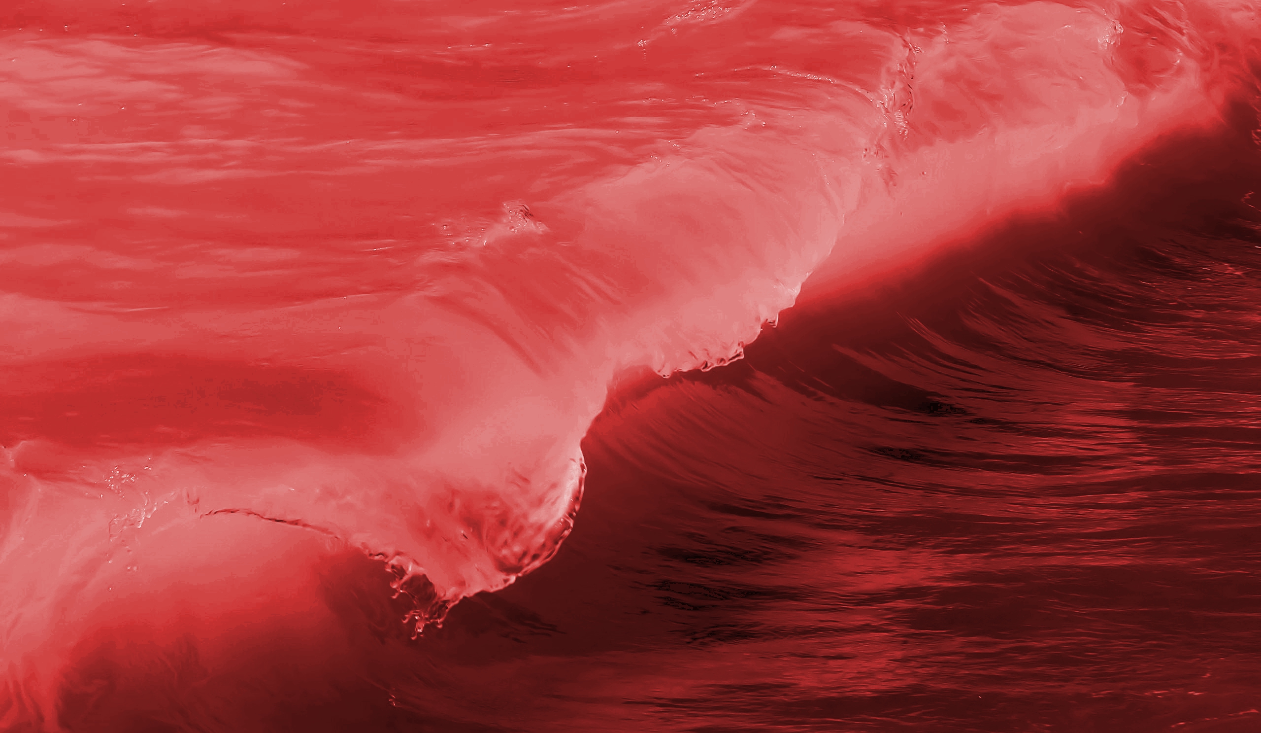Red wave sweeps the U.S. Progreso Weekly