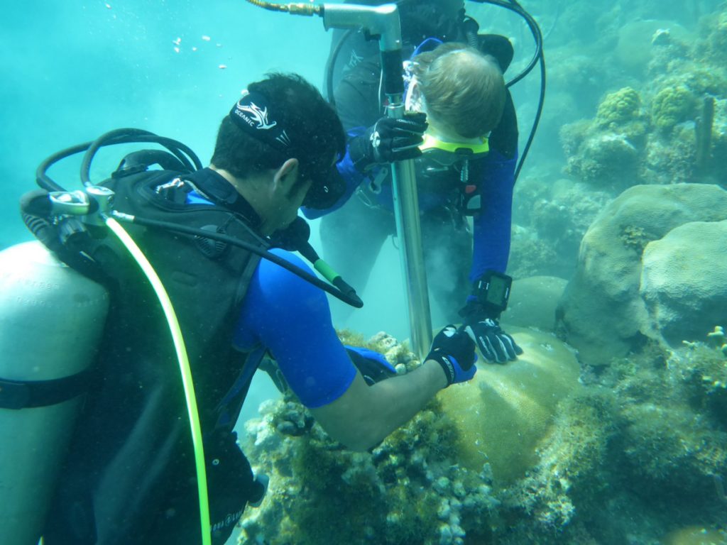 Throughout the 1990s, Cuba made environmental protection an area of increasing political focus, setting the CubaMar team up for support, if not success. (Photo: CubaMar)