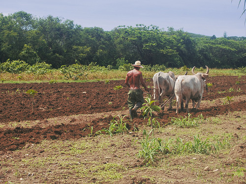 27101303354_fbdb0d7c13